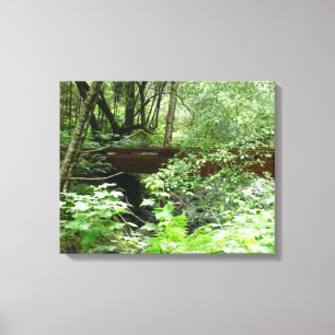 Toile Pont de Muir Woods I