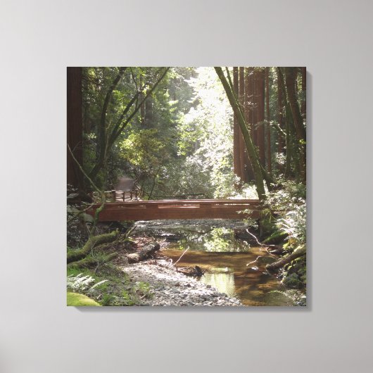 Toile Pont de Muir Woods II (Recto)