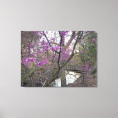 Toile Pont Redbud (Recto)