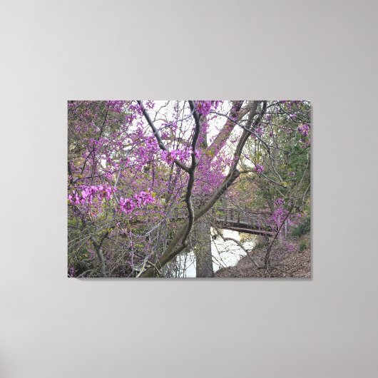 Toile Pont Redbud (Recto)