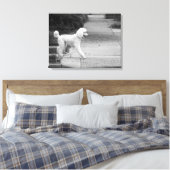 Toile Poodle (Insitu(Chambre))