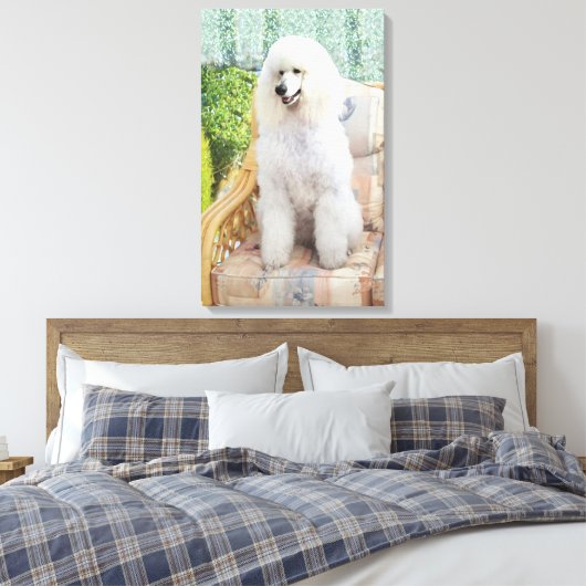 Toile Poodle blanc (Insitu(Chambre))