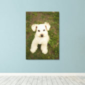 Toile Poodle (blanc) (Insitu (Plancher de Bois))