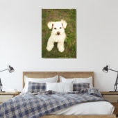 Toile Poodle (blanc) (Insitu(Chambre))
