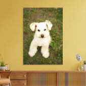 Toile Poodle (blanc) (Insitu(Salon))
