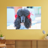 Toile Poodle Day 2016 - Phoebe - Standard Poodle (Insitu(Salon))