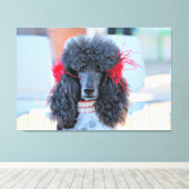 Toile Poodle Day 2016 - Phoebe - Standard Poodle (Insitu (Plancher de Bois))