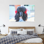 Toile Poodle Day 2016 - Phoebe - Standard Poodle (Insitu(Chambre))