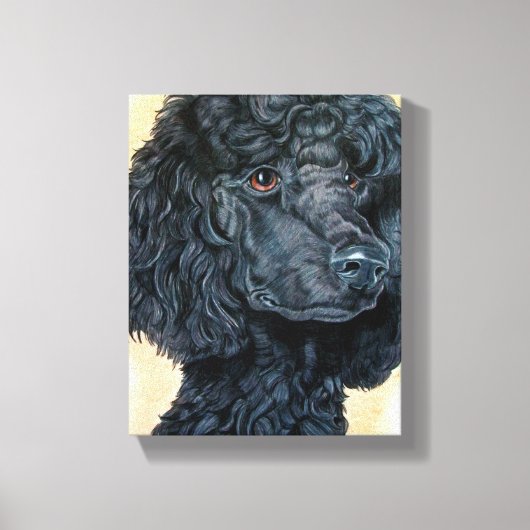 Toile Poodle noir (Recto)