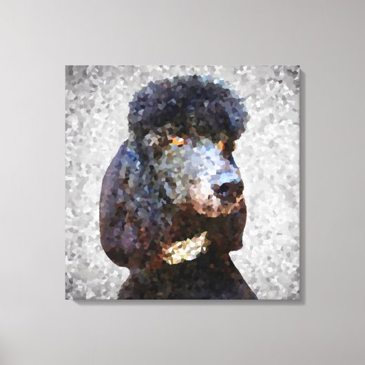 Toile Poodle noir de collier diamant (Recto)