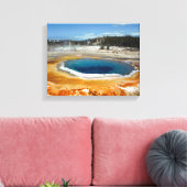 Toile Pool Opal (Insitu(Salon))