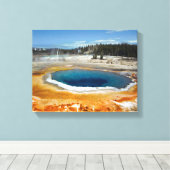 Toile Pool Opal (Insitu (Plancher de Bois))