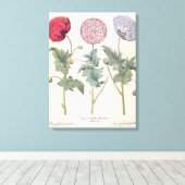Toile Poppies : 1. Papaver multiplex albumoris rubicundi (Insitu (Plancher de Bois))