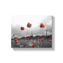 Poppies en noir, blanc et rouge