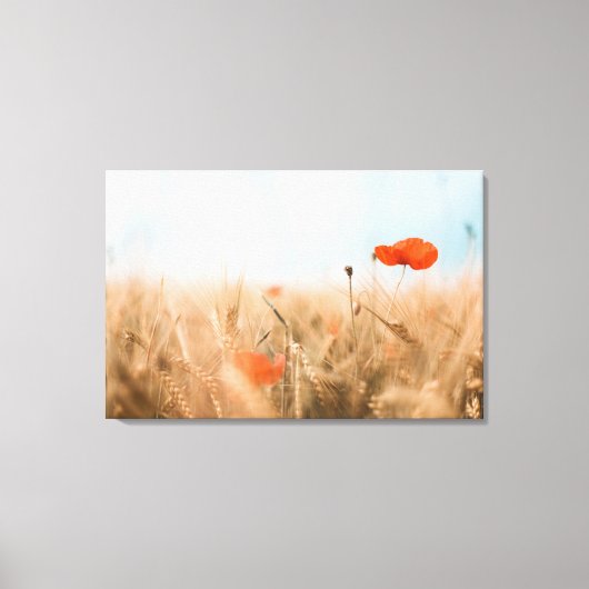 Toile Poppies rouges et orge dorée (Recto)