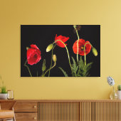 Toile Poppies Rouges Vibrantes Sur Noir (Insitu(Salon))