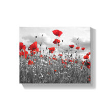 Poppies sauvages en noir, blanc et rouge