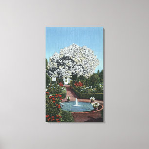 Toile Portland, Orégon - arbre espagnol de piscine et d