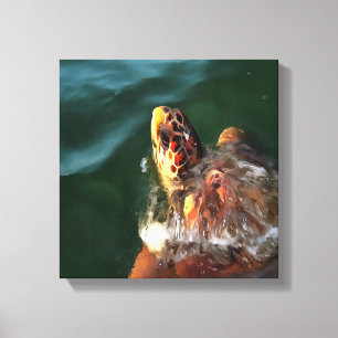 Toile Portrait artistique de la tortue luge