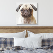 Toile Portrait carlin (Insitu(Chambre))