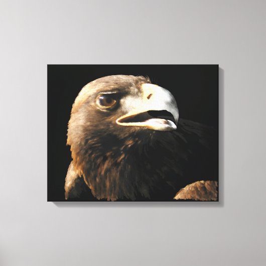 Toile Portrait d'aigle doré (Recto)