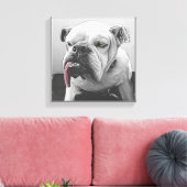 Toile Portrait d'animal de compagnie de bulldog blanc no (Insitu(Salon))