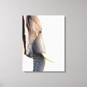 Toile Portrait d'animal de jungle de profil d'éléphant