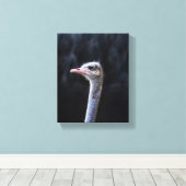 Toile portrait d'autruche (Insitu (Plancher de Bois))