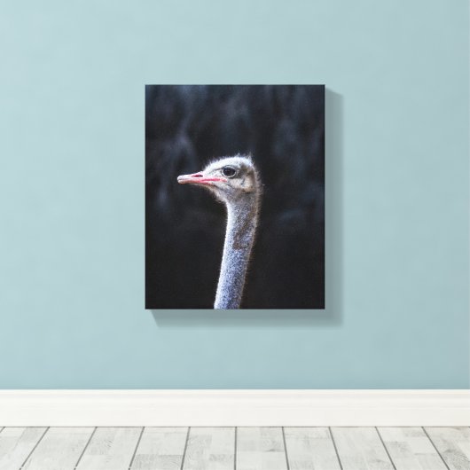 Toile portrait d'autruche (Insitu (Plancher de Bois))