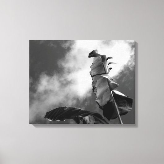 Toile Portrait de bananier (Recto)