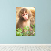 Toile Portrait de bébé singe des neiges (Insitu (Plancher de Bois))