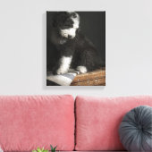Toile Portrait de Bobtail puppy (Insitu(Salon))