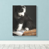 Toile Portrait de Bobtail puppy (Insitu (Plancher de Bois))