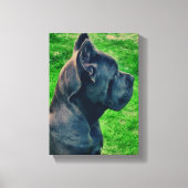 Toile Portrait de Cane Corso (Recto)