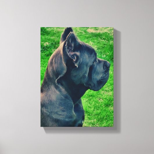 Toile Portrait de Cane Corso (Recto)