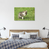 Toile Portrait de chat (Insitu(Chambre))