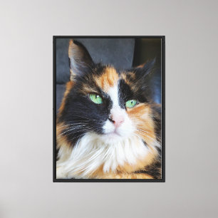 Toile Portrait de chat calico aux yeux verts et poils lo