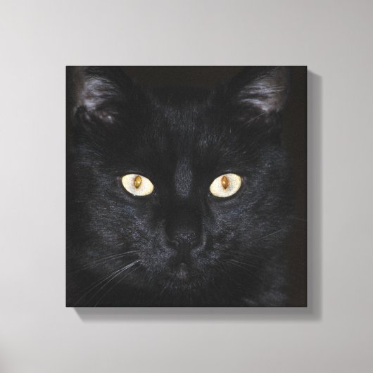 Toile Portrait de chat noir (Recto)