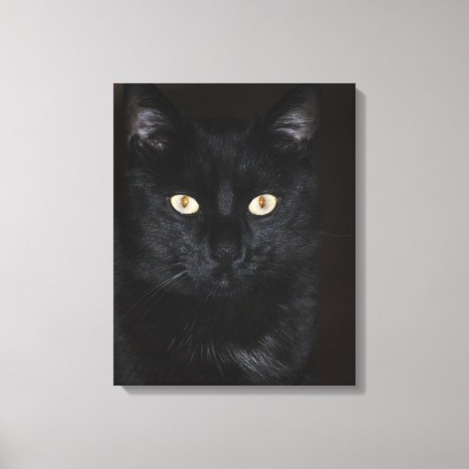 Toile Portrait de chat noir (Recto)