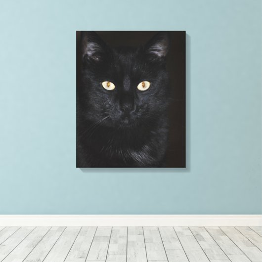 Toile Portrait de chat noir (Insitu (Plancher de Bois))