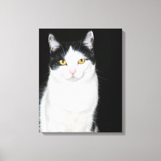Toile Portrait de chat noir et blanc (Recto)
