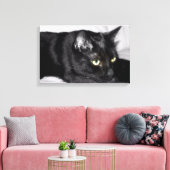 Toile Portrait de chat noir mignon (Insitu(Salon))