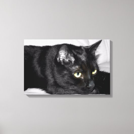 Toile Portrait de chat noir mignon (Recto)