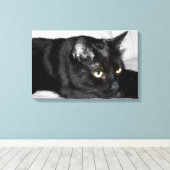 Toile Portrait de chat noir mignon (Insitu (Plancher de Bois))
