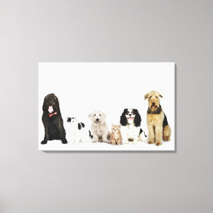 Toile Portrait de chats et de chiens assis ensemble