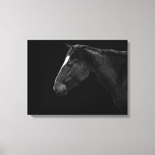 Toile Portrait de cheval