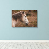 Toile Portrait de cheval (Insitu (Plancher de Bois))