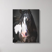 Portrait de cheval II