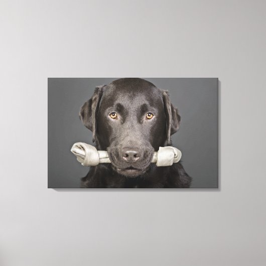 Toile Portrait de chocolat labrador (Recto)