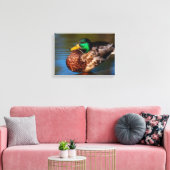Toile Portrait de colvert (Insitu(Salon))